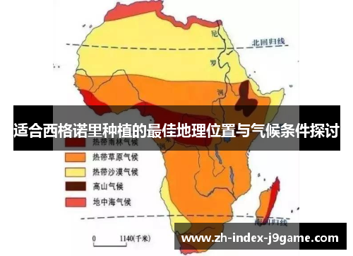适合西格诺里种植的最佳地理位置与气候条件探讨