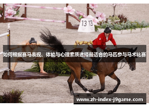 如何根据赛马表现、体能与心理素质选择最适合的马匹参与马术比赛 如何根据赛马表现、体能与心理素质选择最适合的马匹参与马术比赛